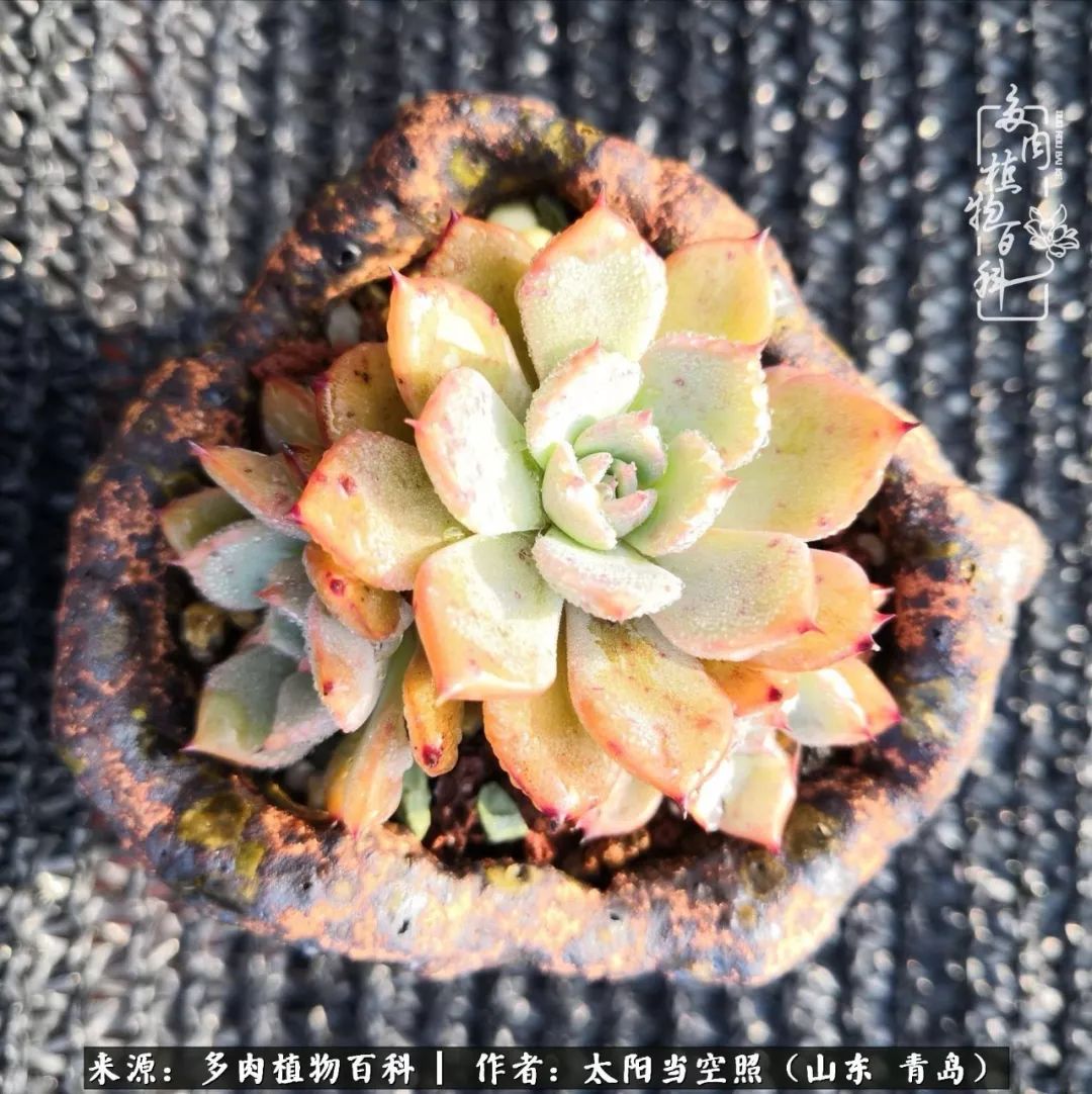 离家在外才发现最难忘的是故乡情,离家在外看见家乡的东西