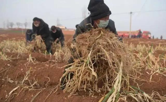 记住这30张脸,记住这每一张脸