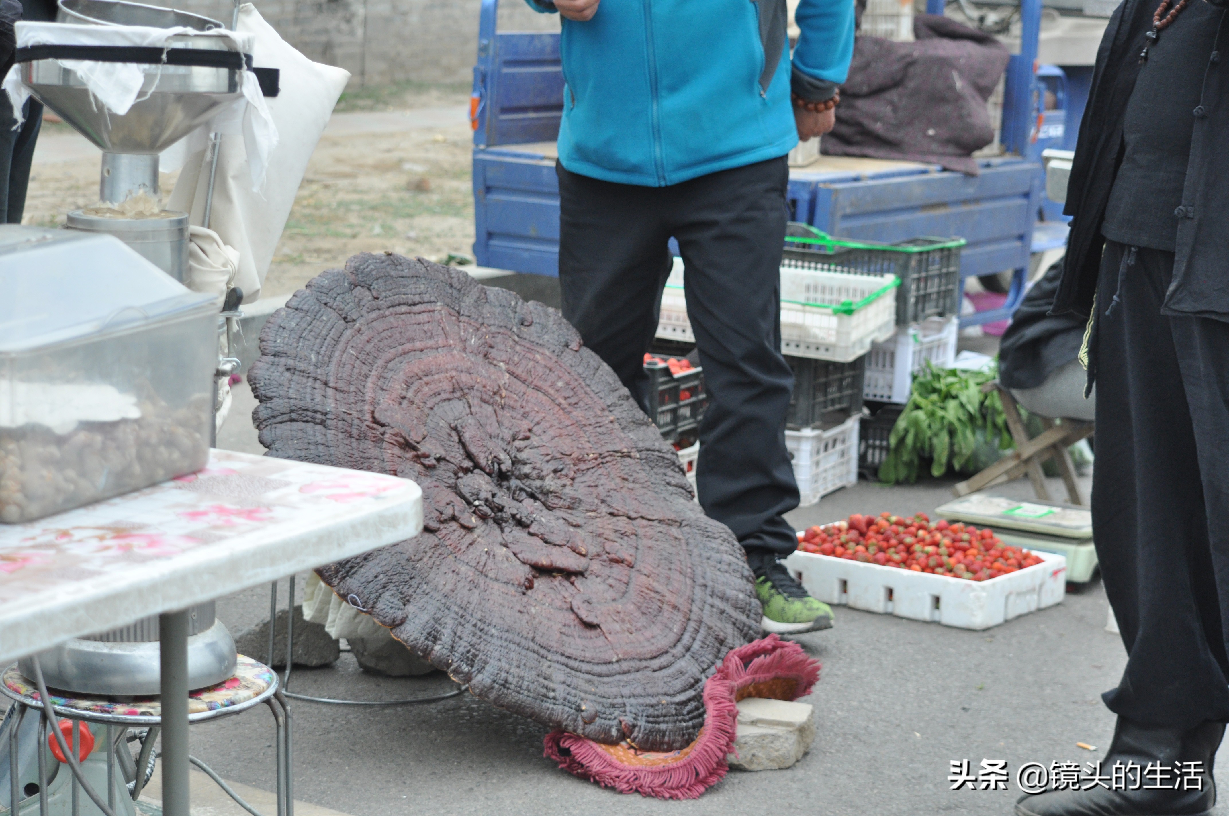 澶у彅鎺忓嚭6鍧楀崠鑽潗鐨勯挶,鍐滄潙灏忎紮鎵惧埌鐝嶈吹鑽潗浠锋牸涓嶈彶