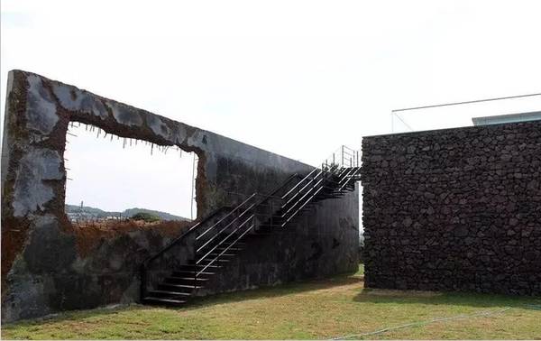 权志龙喜欢樱花和雏菊吗,权志龙最喜欢的所有东西