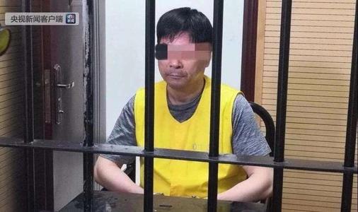 坚称没有猥亵女童！王振华将上诉，律师请求改判无罪