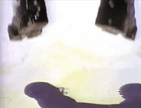 fila怎么走红的,范德彪红色斐乐