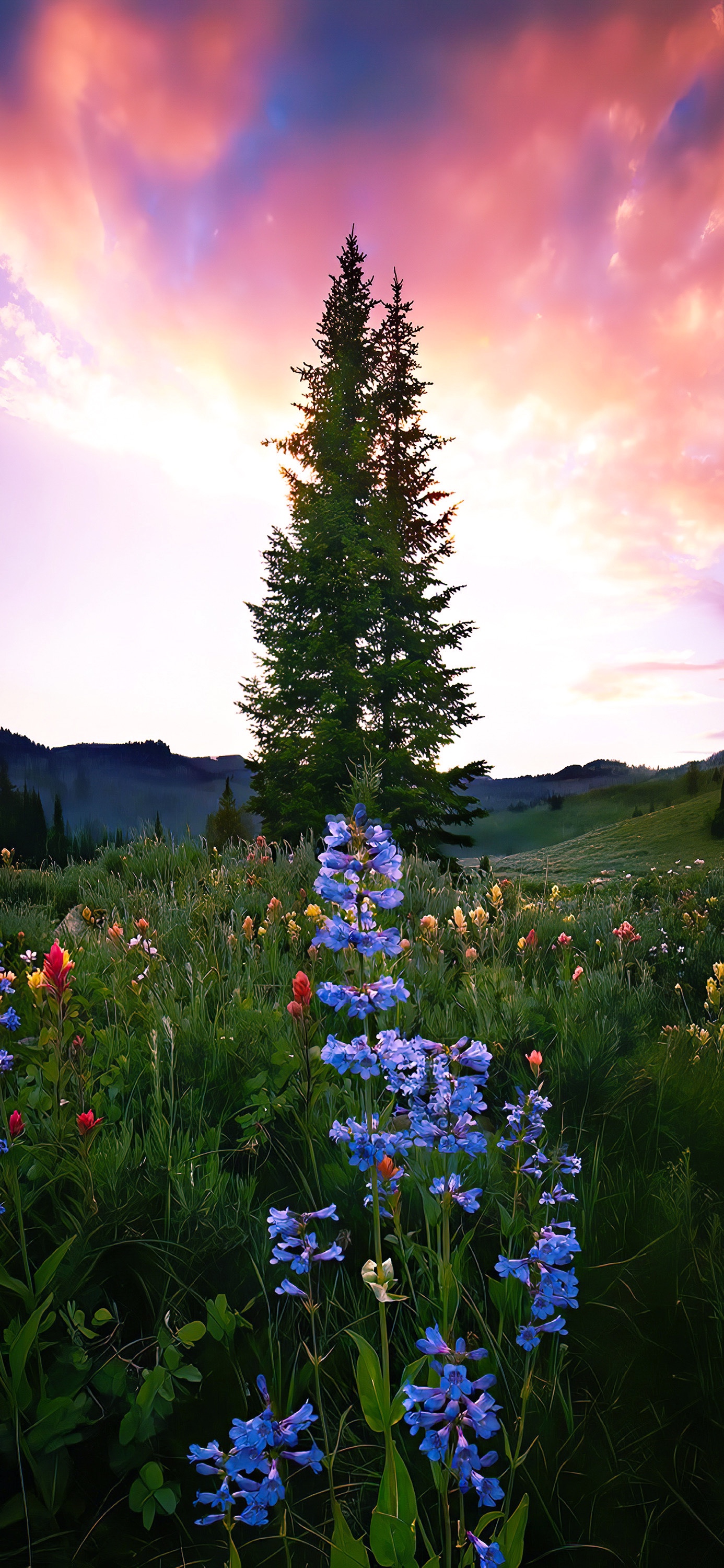 高清壁纸一起来感受大自然的美,高清风景壁纸长城风景
