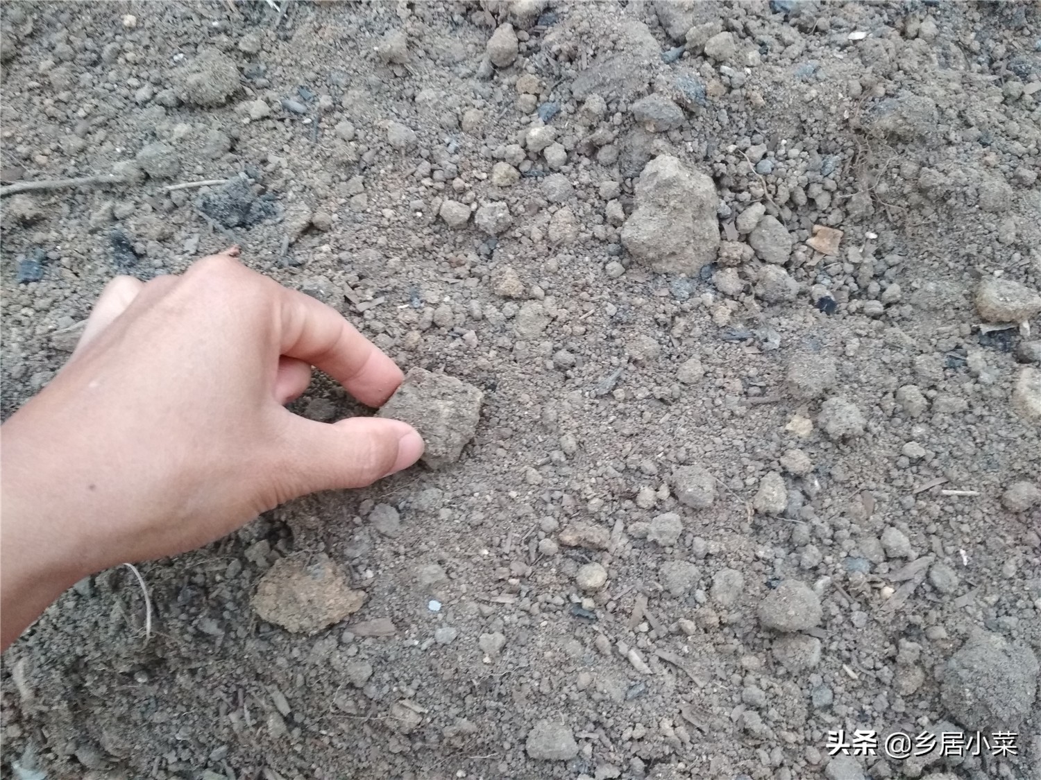 怎样让菜地土质松软,怎样才能把菜地的土壤弄得很松软