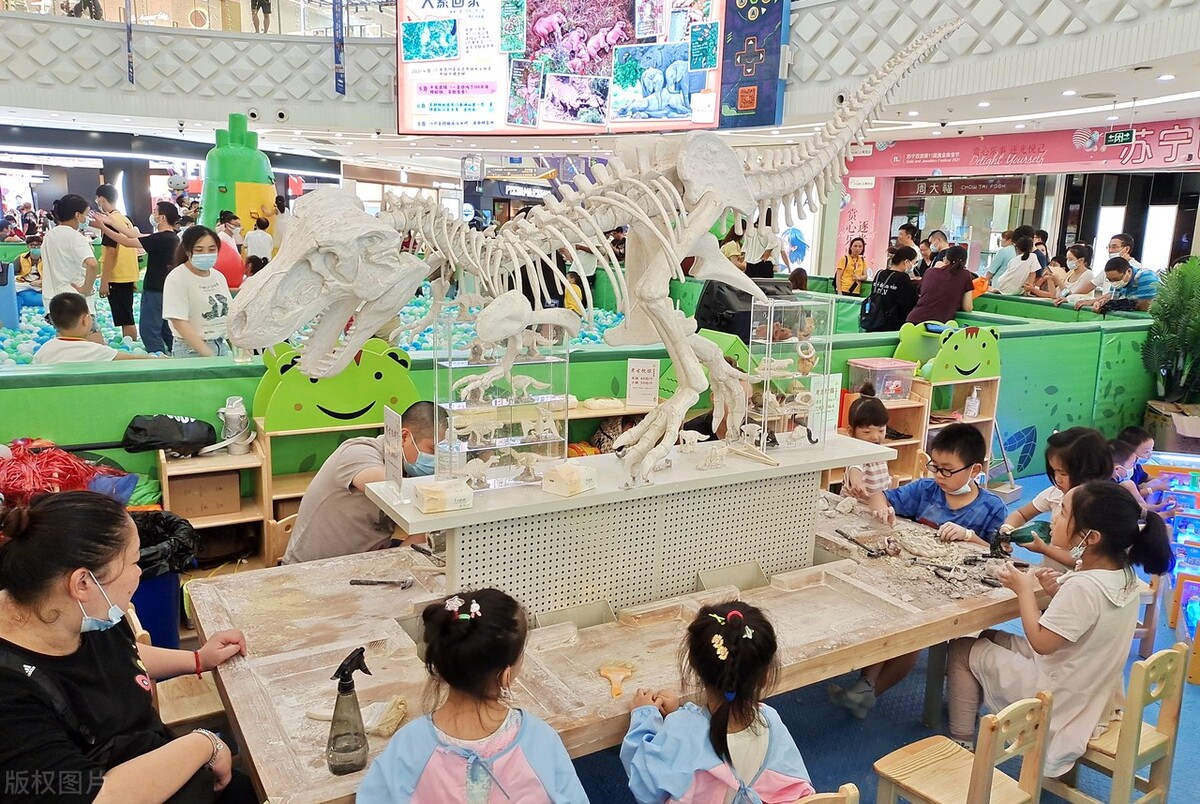 6岁儿子日入10000,我却后悔没有送他上幼儿园，有种教育无法舍弃