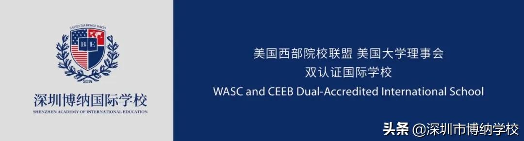 深圳南山这所宝藏国际学校，带你去打卡