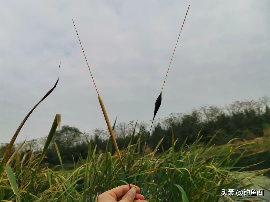 浮漂选漂,挑选浮漂的正确方法