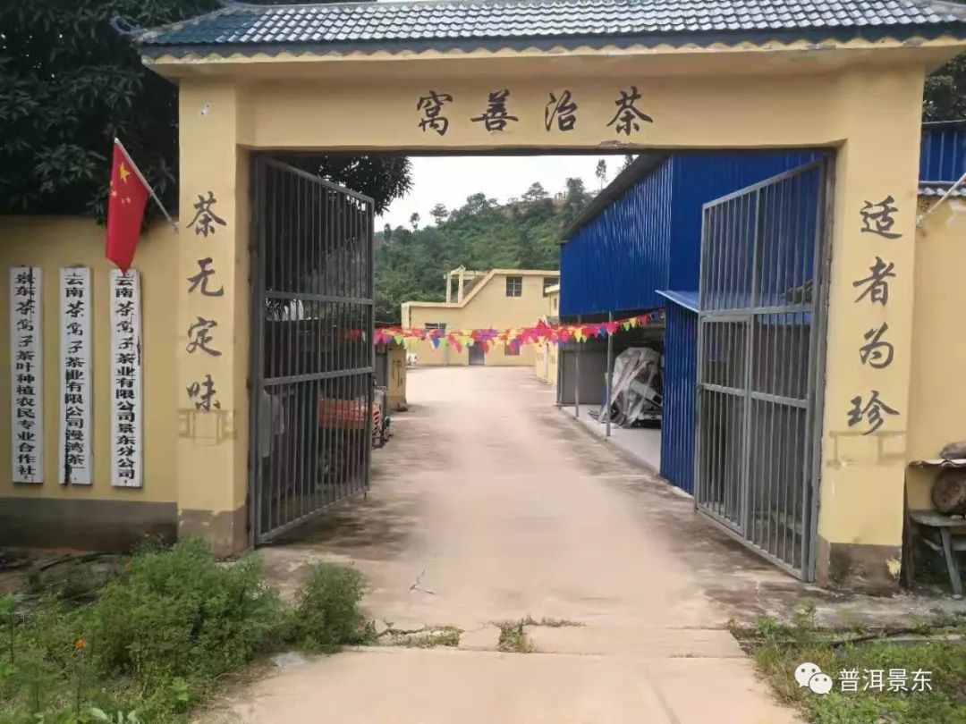 周文军:一个把茶窝子开到3个国家的景东人