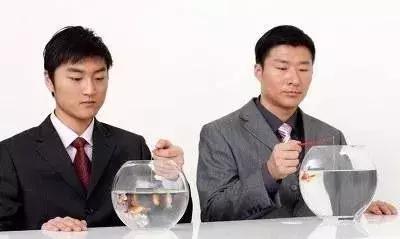 单位合并后原职务怎么办,单位合并职务怎么安置