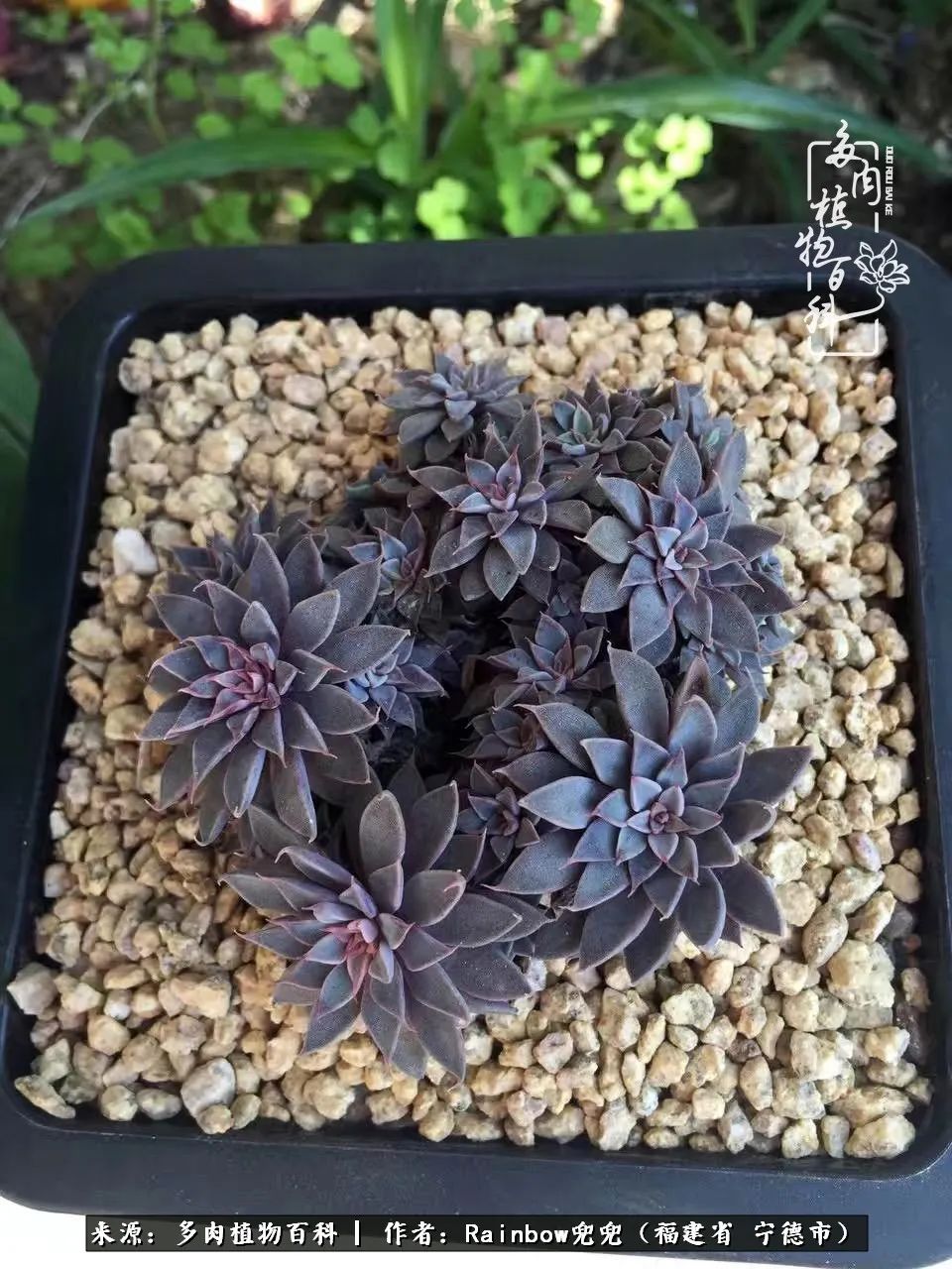 岁月无波澜余生不悲欢是啥意思,愿你岁月无波澜敬我余生无悲欢