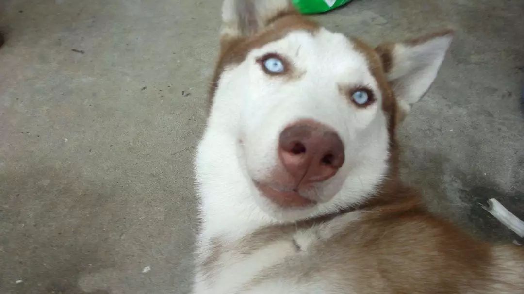 全世界十大顶级黑卡,世界三大顶级黑卡