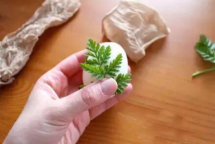 diy花草蛋,花草蛋制作图片