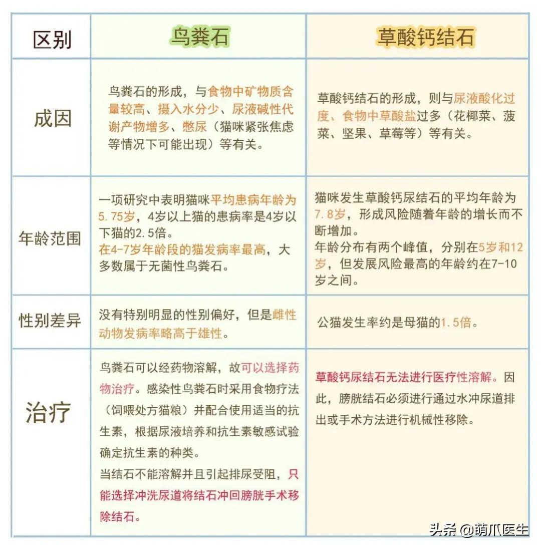 猫在被子里憋死,猫在体内就憋死了