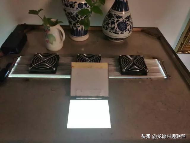 垃圾桶旁边的四方鱼缸，捡回去养了一缸金鱼，别说还挺不错