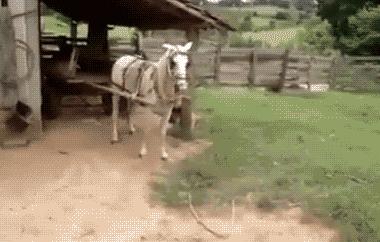 开心搞笑视频小哥哥,小哥哥搞笑视频gif