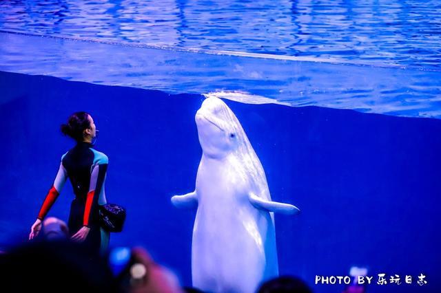 来珠海旅游必打卡的景点,春节珠海亲子游玩地方推荐