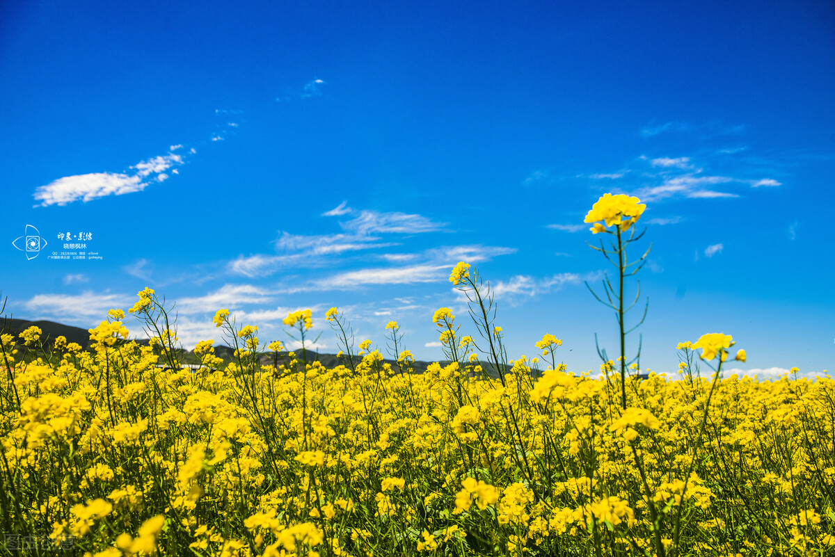 七年级生物真菌和细菌怎么区分,细菌和真菌在自然界中的作用教案