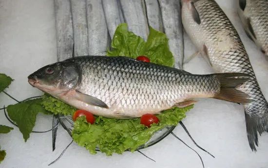 鲤鱼这样一锅炖简单下饭,鲤鱼最下饭的5种做法简单易学