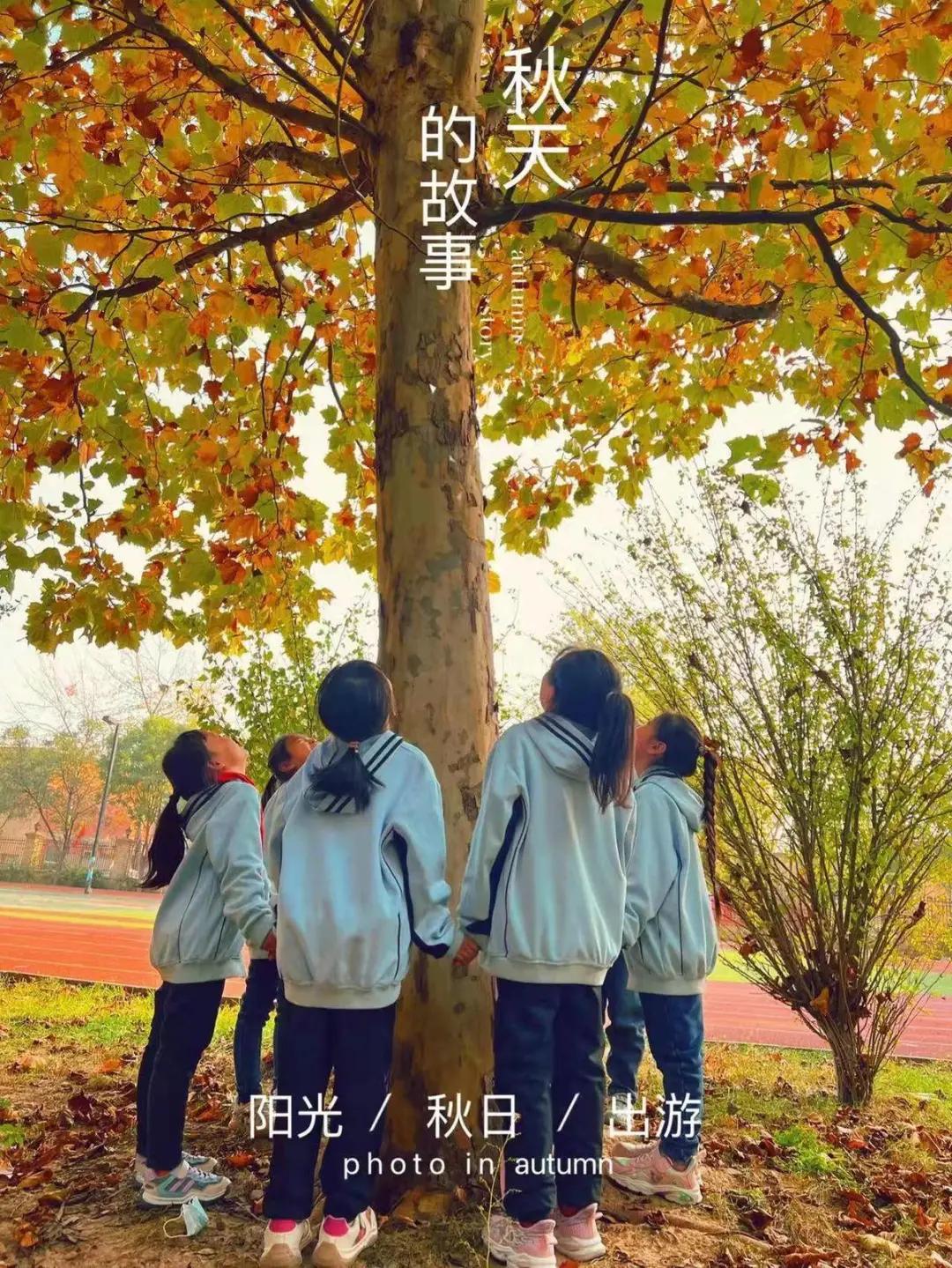 石家庄裕东小学东校区,石家庄裕东小学片内校区