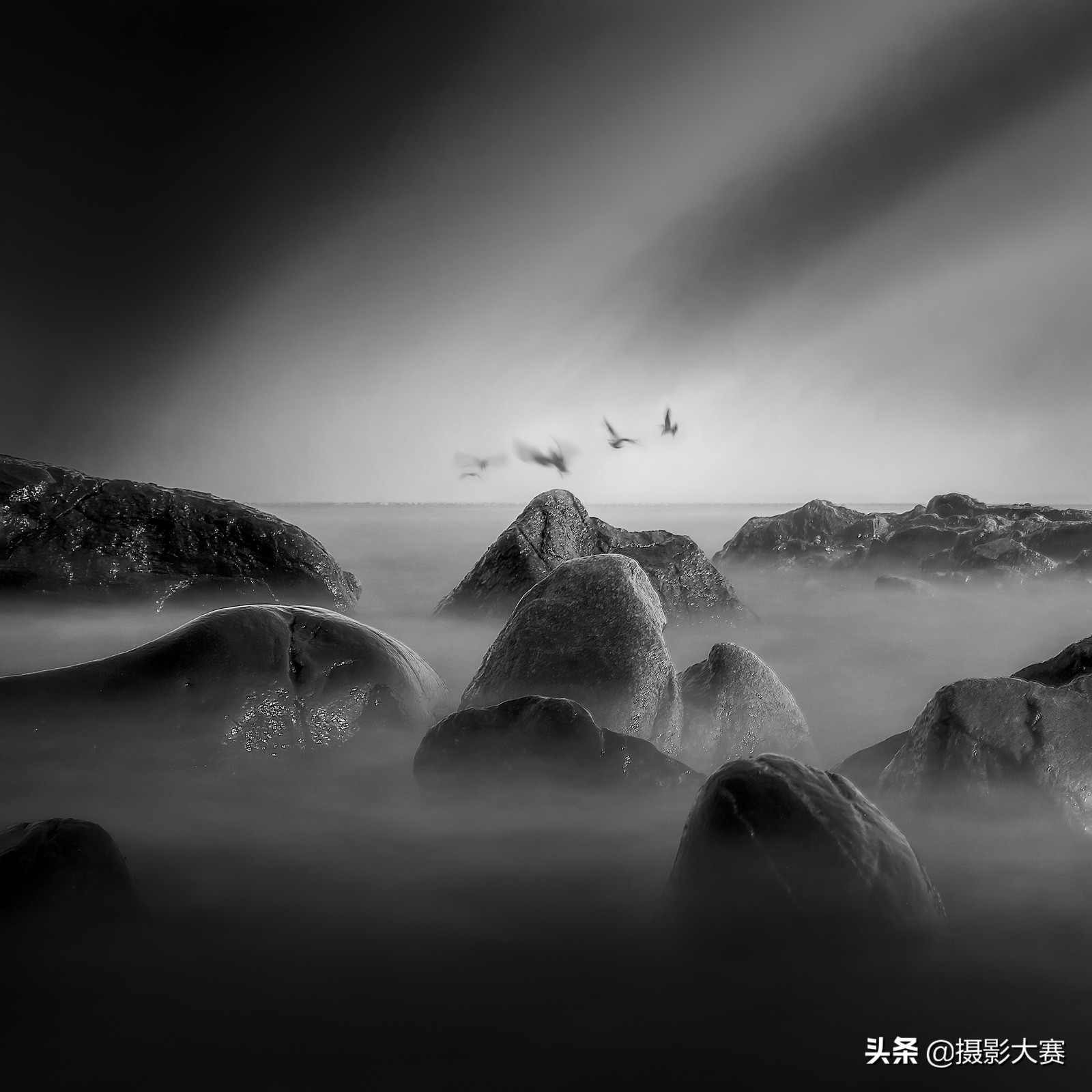 有你吗原版视频,尼康摄影大赛精选