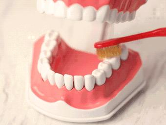 牙黄最有效变白方法,女性牙黄最有效的方法