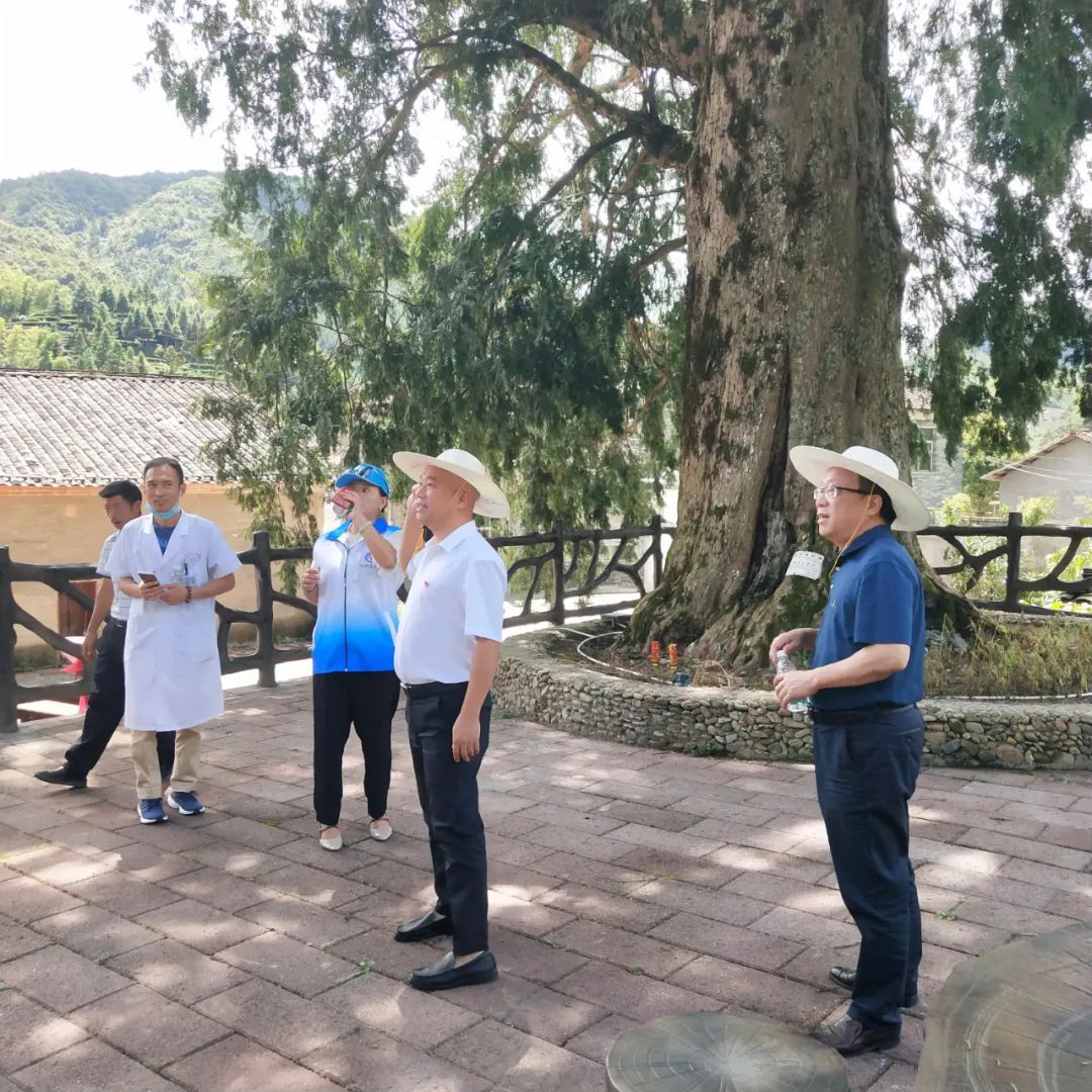 原创诗词14首,经典诗词36首