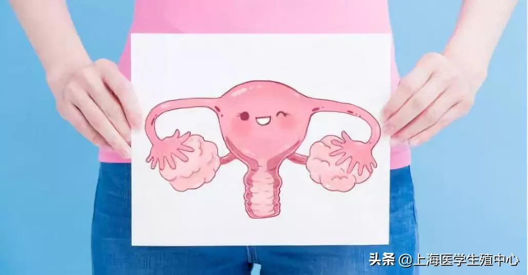 怀孕宫腔粘连怎么办,宫腔粘连会怀孕吗