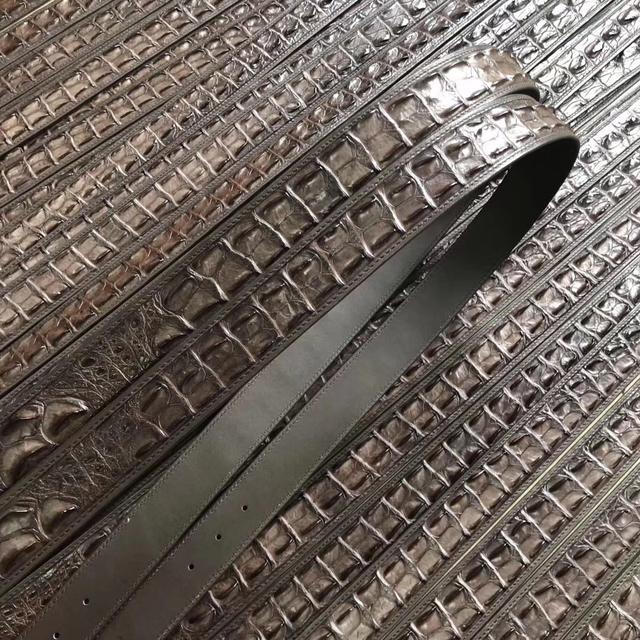 真正的鳄鱼多少钱一个,真正的鳄鱼多少钱