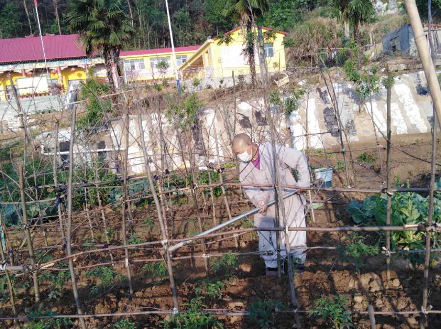 抢抓农时开展农业生产,农民纷纷抢抓春耕生产有利时机