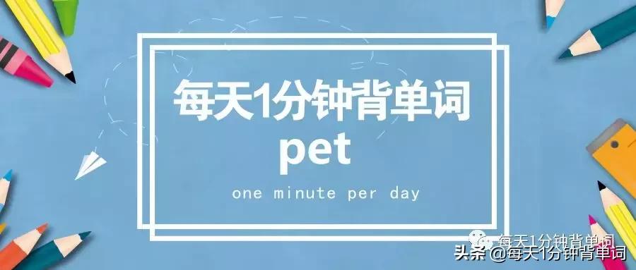 单词中哪些含有pet词根,pet单词词根词缀记忆