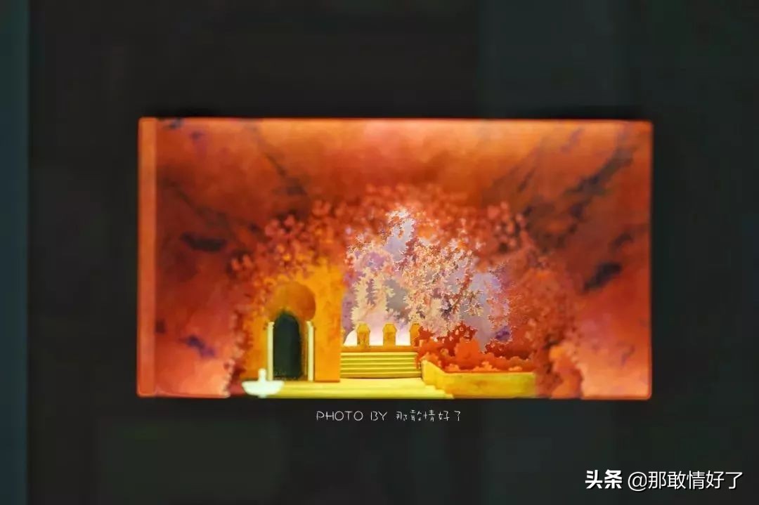 在蓝精灵的故乡邂逅天价纹身*国猪中**，只因我国没有动物保护约束