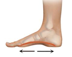 每天练习缓解足底痛图片,每天练习踮脚后腰酸胀