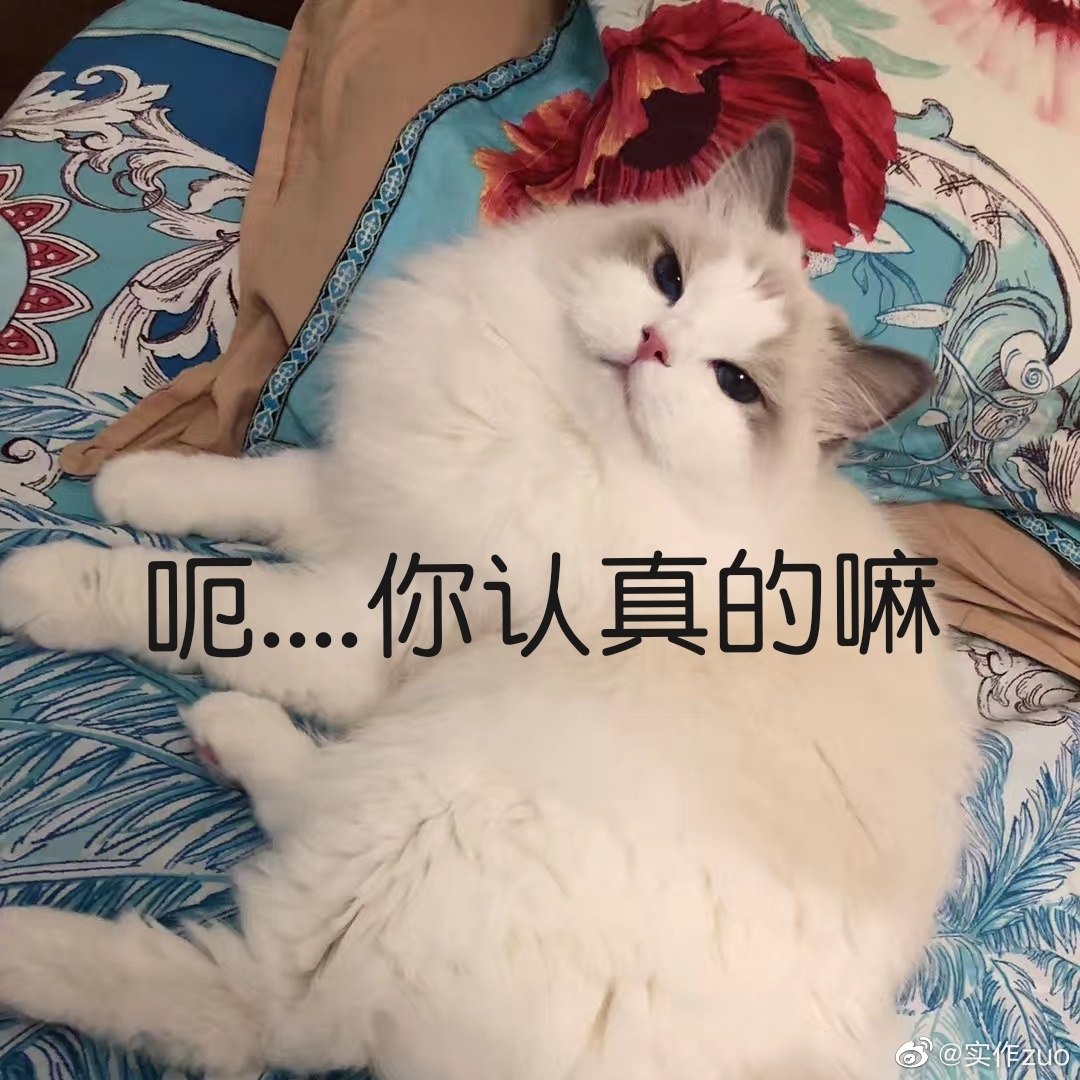 网红鼻祖晚晚和舒淇同框比美赢了？妆容穿搭都有小心机，来抄作业