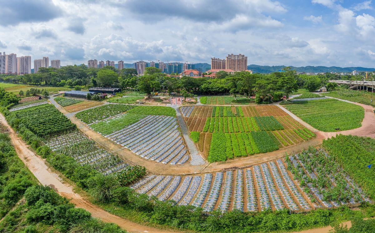 请回答2021文案开头,请回答2021演讲稿