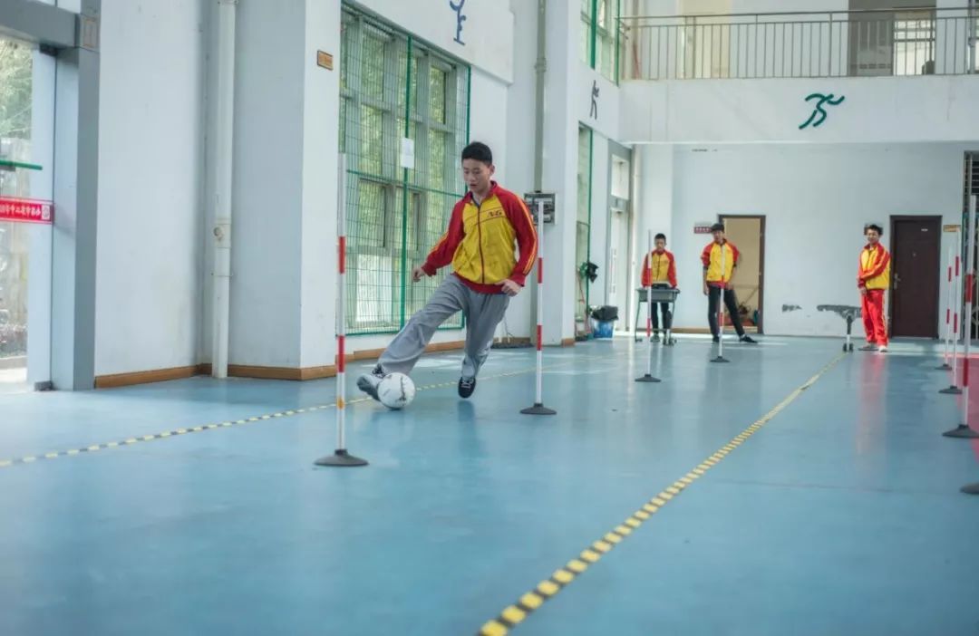 中国体育三大球无缘东京奥运会,中国三大球无缘奥运会原因