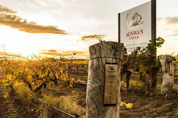 澳大利亚进口葡萄酒分析,1-6月进口葡萄酒数据的三个特点