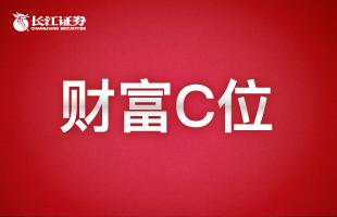 实现财富持续增值的投资指南,财富增值的投资机会分析与选择