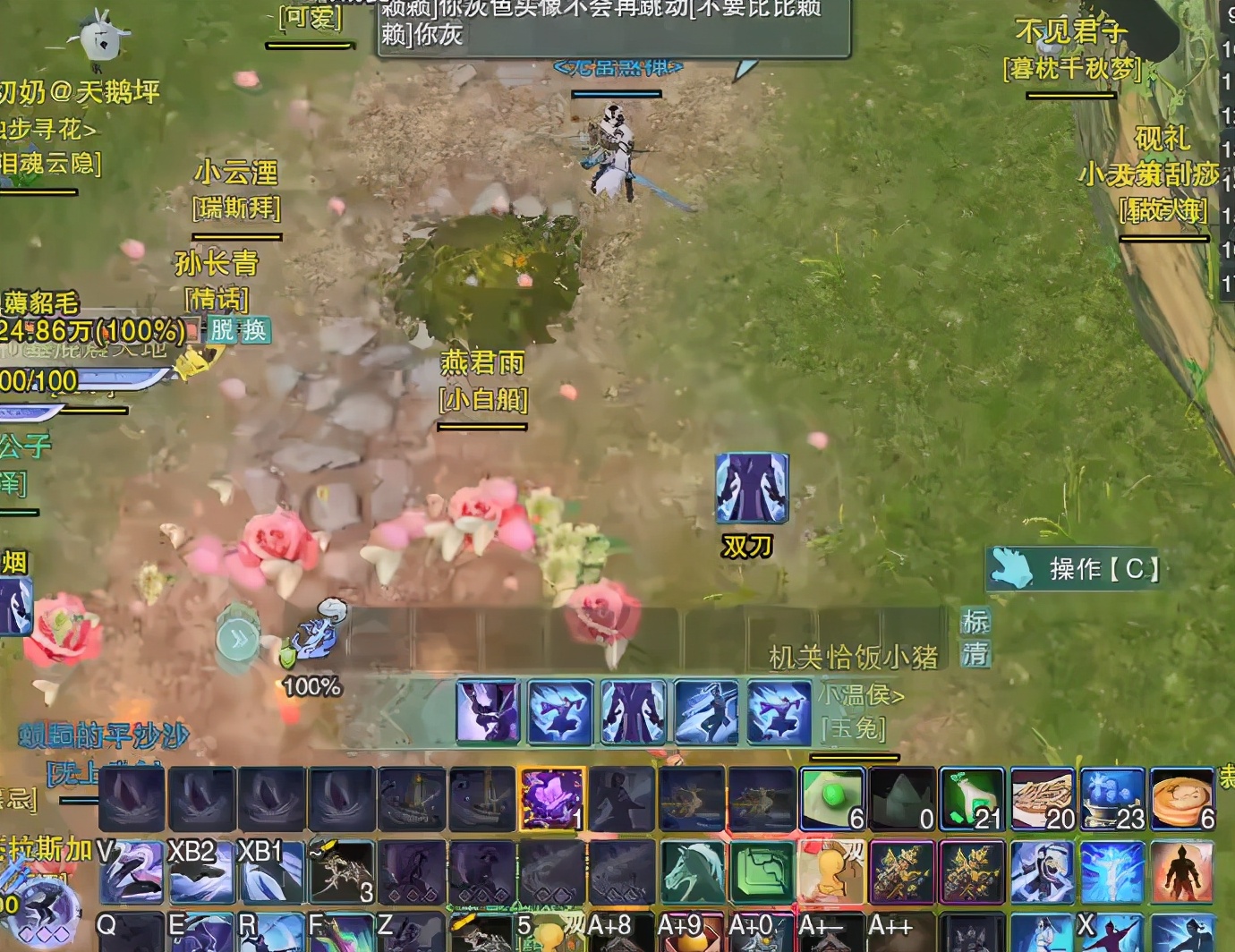 剑网三自在逍遥和浩气长存,剑网三剑纯和气纯有什么区别