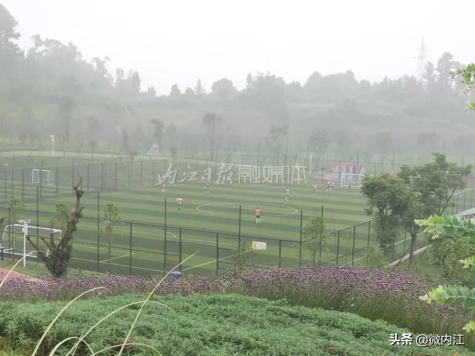 法兰克福足球俱乐部德甲,法兰克福足球青训中心