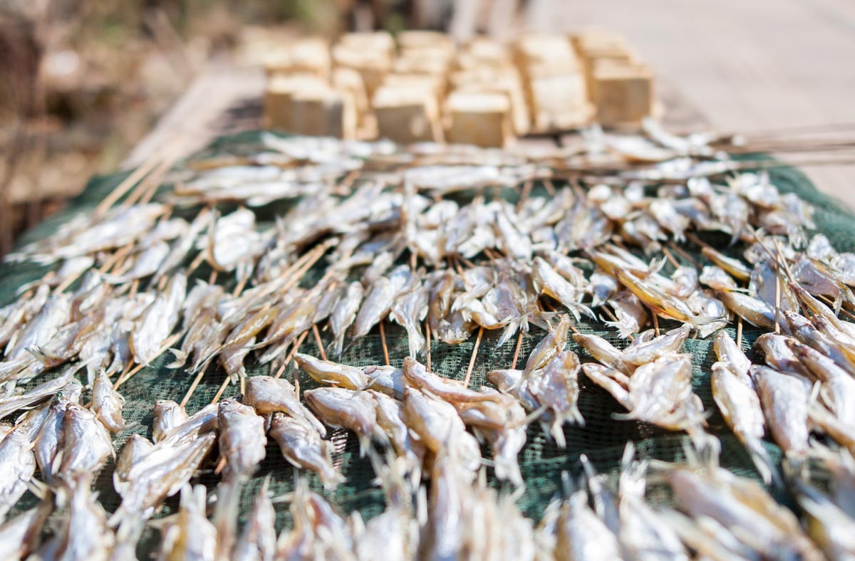 西昌一座你来就不想走的城市,邛海一个充满诗情画意的远方