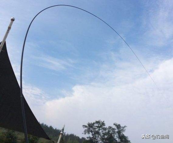 200元钓友公认十款最好鱼竿,哪种鱼竿又便宜又好用钓不断