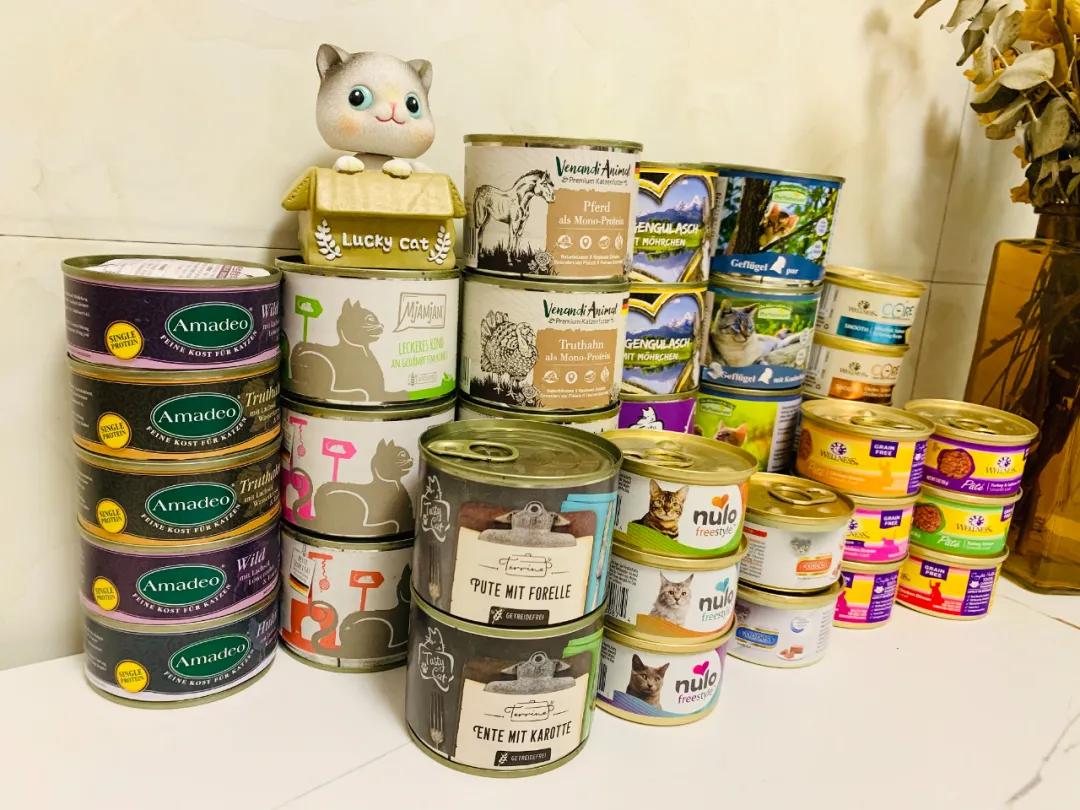 猫不吃罐罐怎么办,英短猫吃零食不吃主食咋办