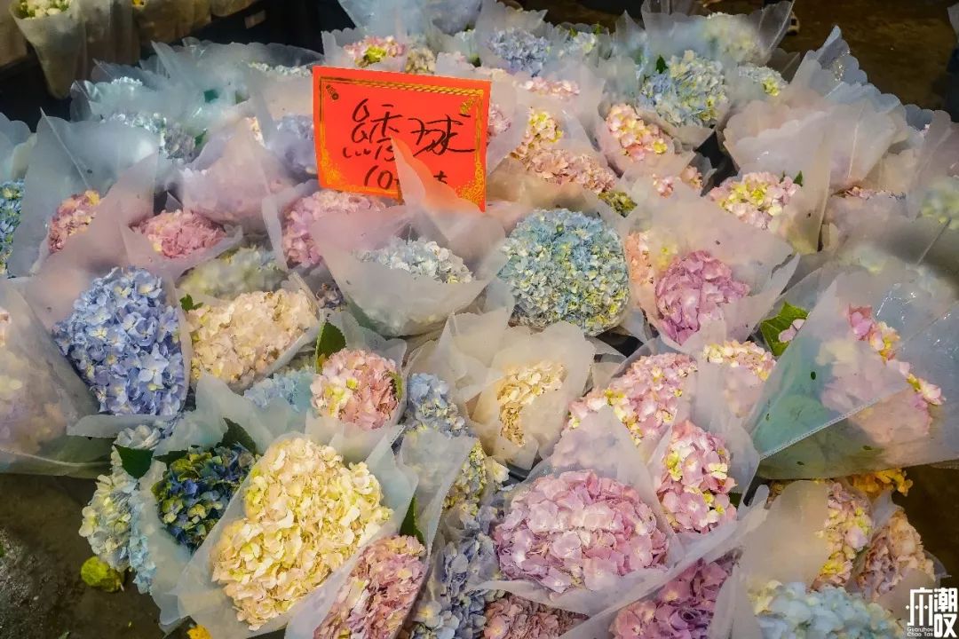 广州最大的花卉市场有哪些店,广州最便宜的花卉交易市场