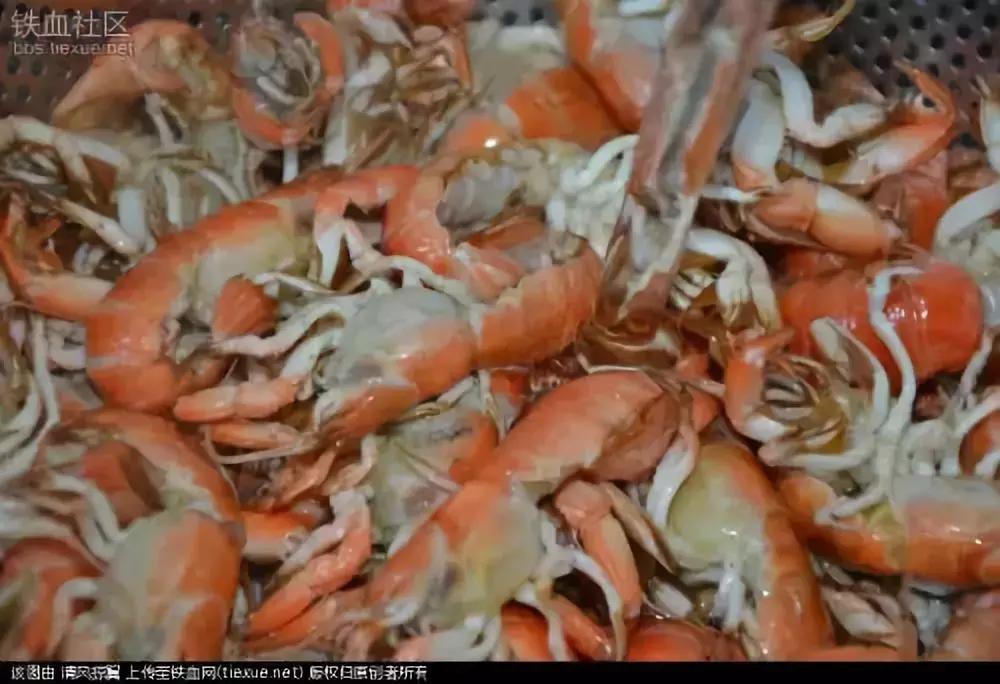 中国最美丽海岸线——广东省最美丽的岛屿：南澳