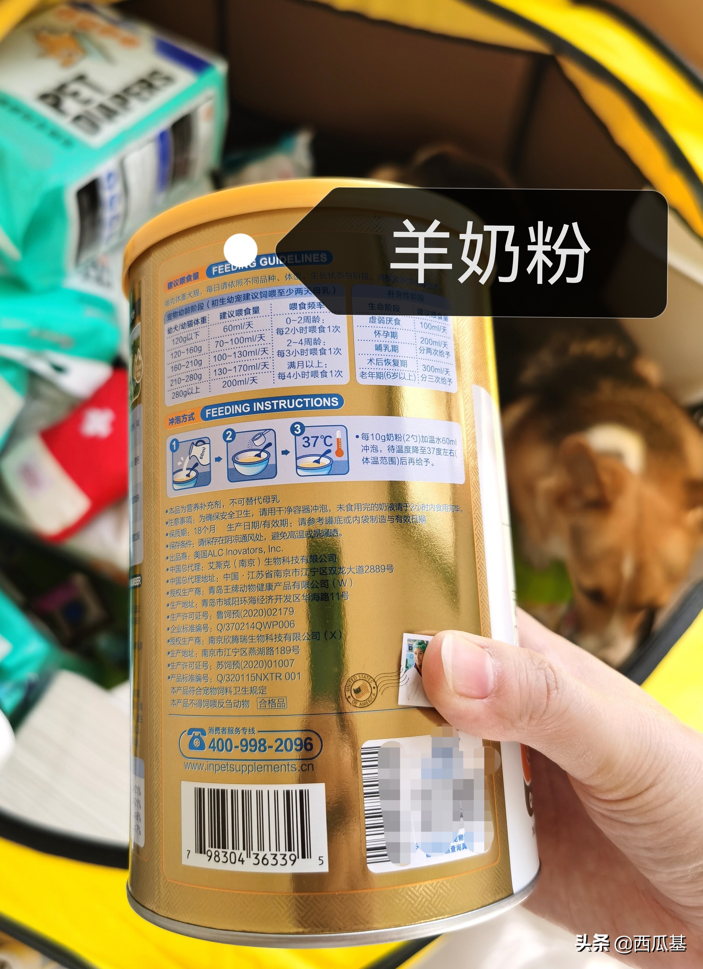 狗狗待产了怎么照顾,狗狗待产表现