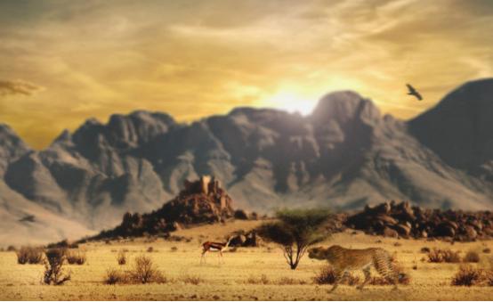 去非洲要带的那个神秘的“小黄本”到底是什么？看完解答你的疑问