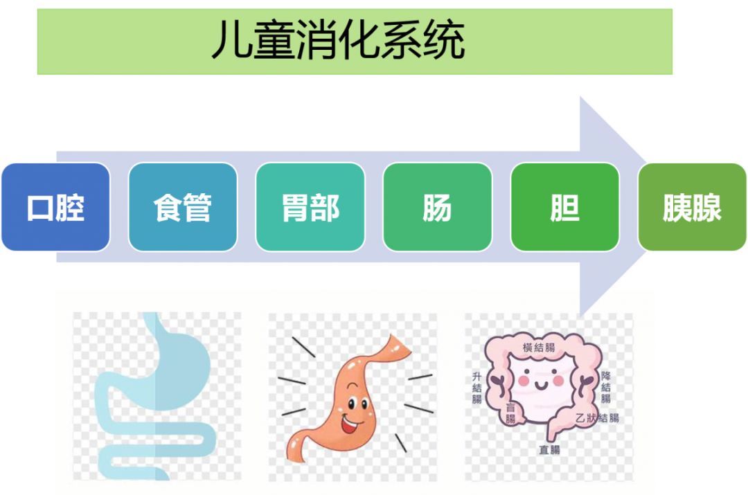 病人腹泻怎么处理,腹泻发热怎么处理