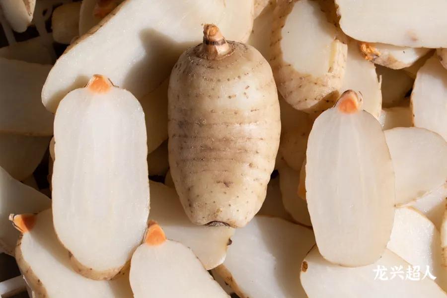 贵州道地药材天麻,道地药材天麻之乡