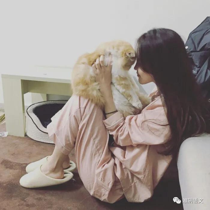 猫咪散文,拯救小猫完整版