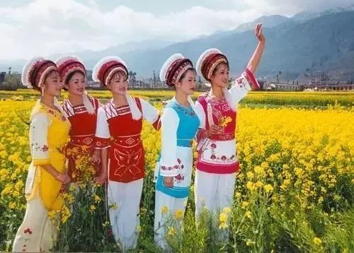 中国56个民族知识大全书籍,关于中国56个民族的知识